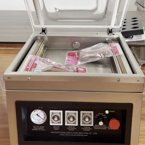 Single chamber standing vacuum packer (acrylic cover, rotary controller)