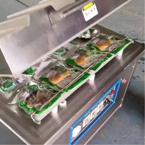 Single chamber standing vacuum packer (stainless steel cover, rotary controller)
