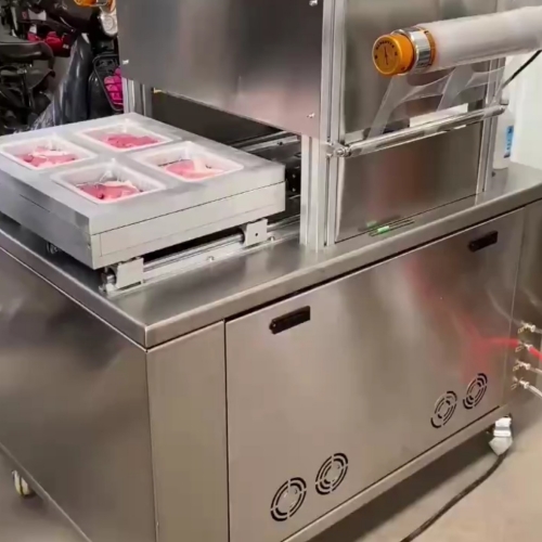Modified atmosphere vacuum packer (single station)